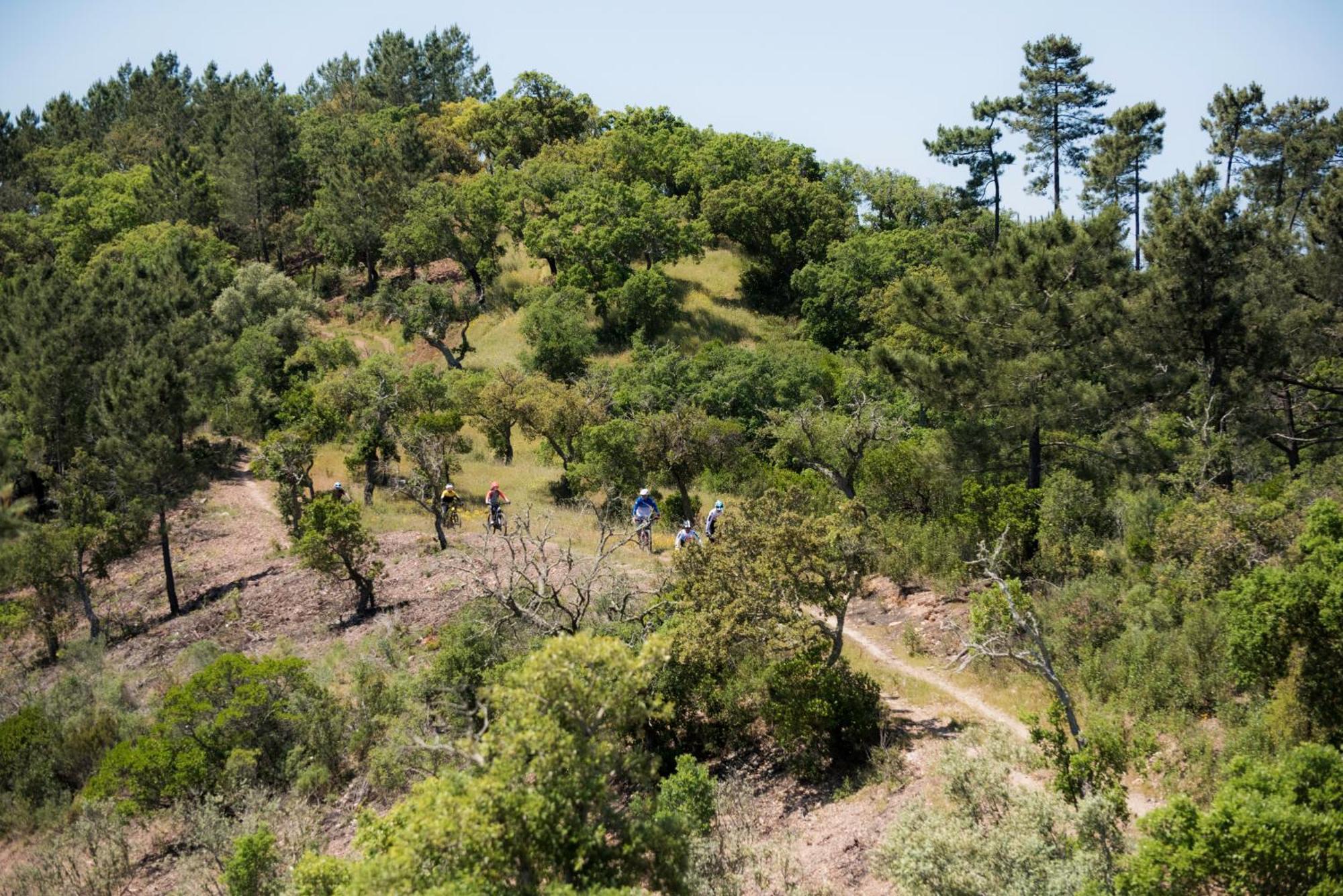 Herdade Das Barradas Da Serra Grândola Eksteriør billede
