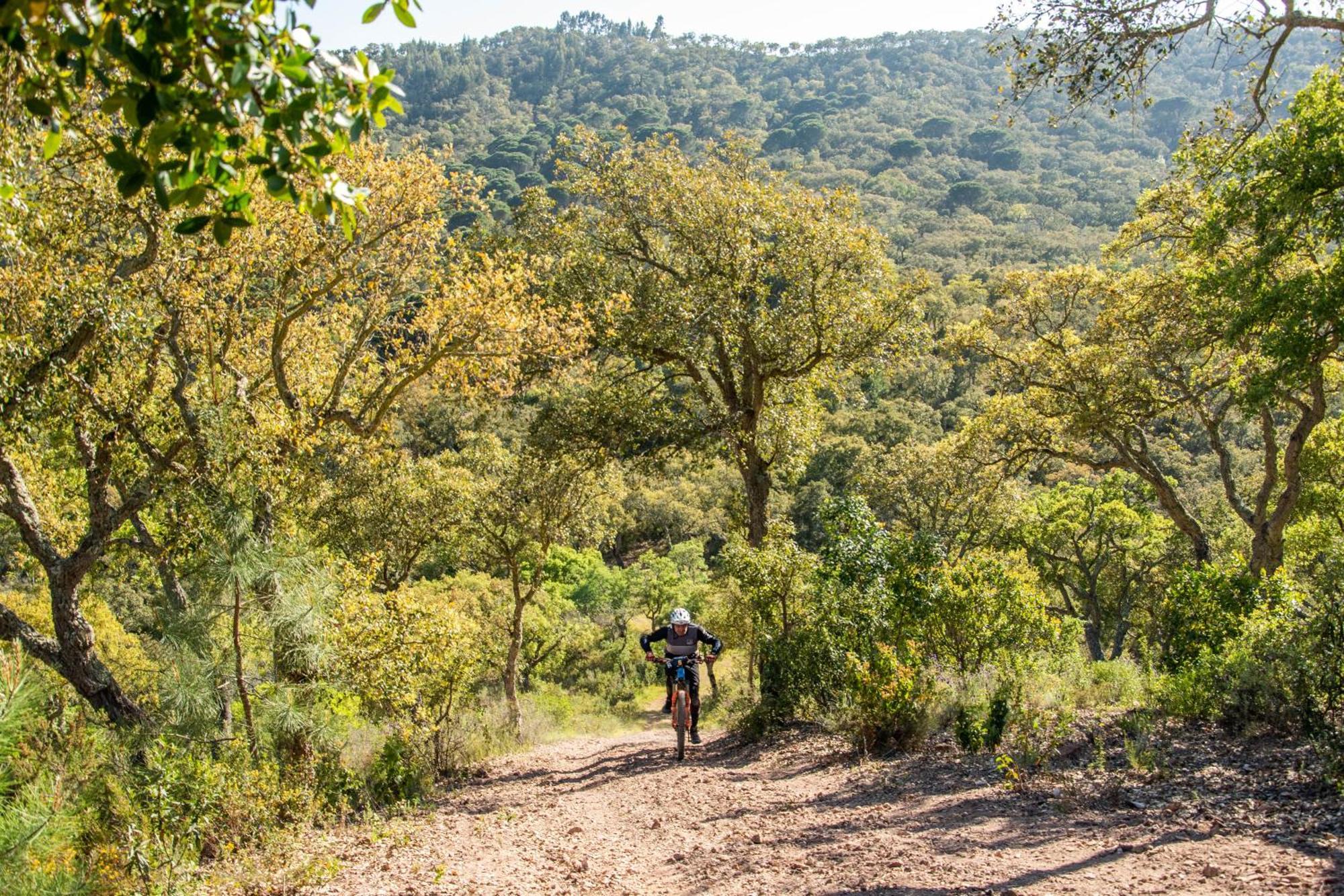 Herdade Das Barradas Da Serra Grândola Eksteriør billede