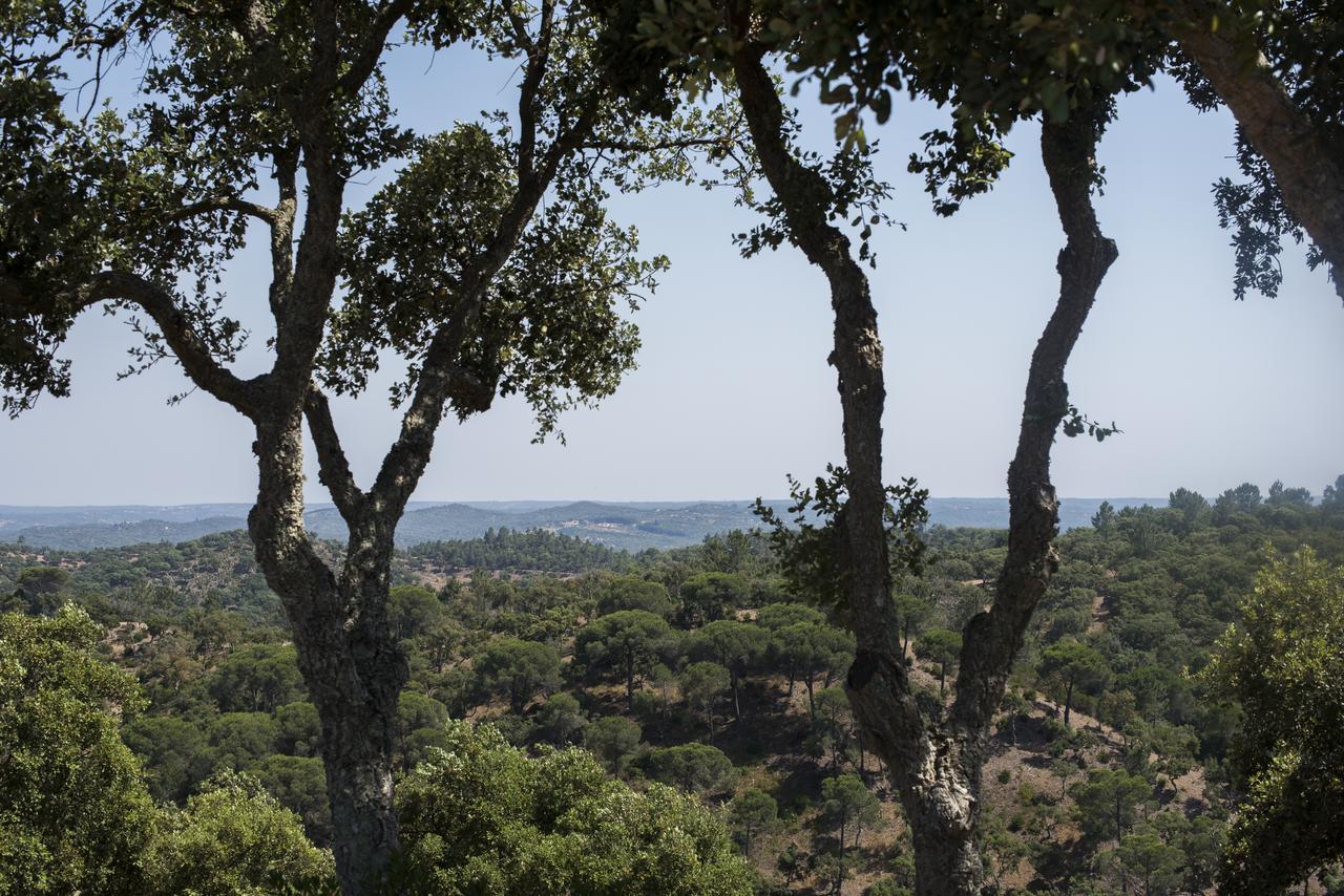 Herdade Das Barradas Da Serra Grândola Eksteriør billede